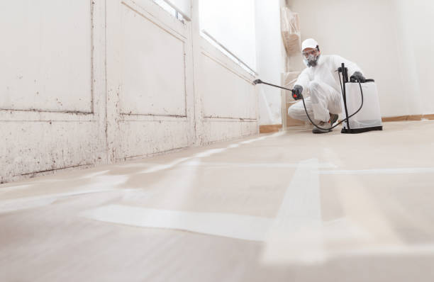 24/7 Emergency Mold Removal experts in Union City, GA