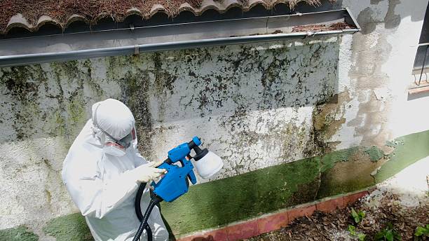 Top rated local Mold Removal specialists in Union City, GA